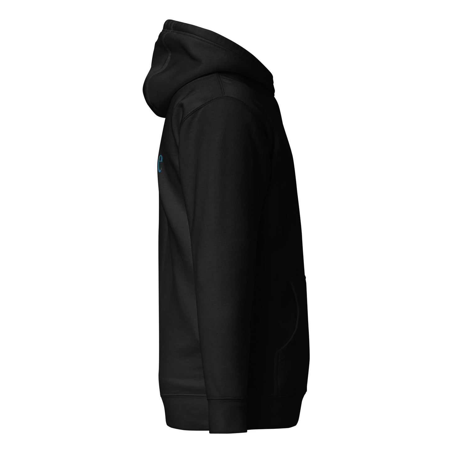 Bowtique Hoodie 2024